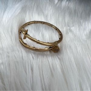 Alex and Ani Rafaelian Gold Anchor Wrap Bangle Bracelet